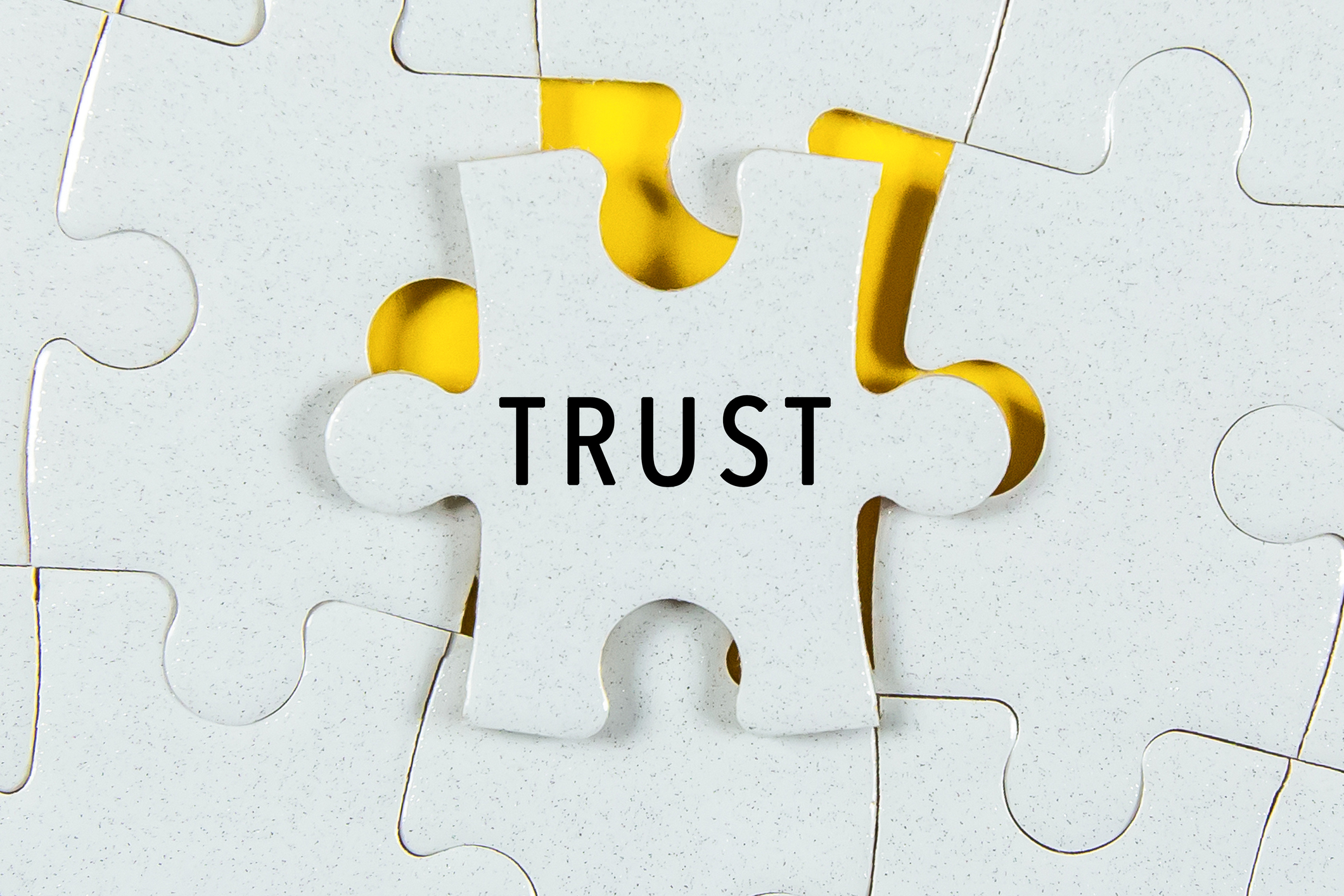 trust puzzle