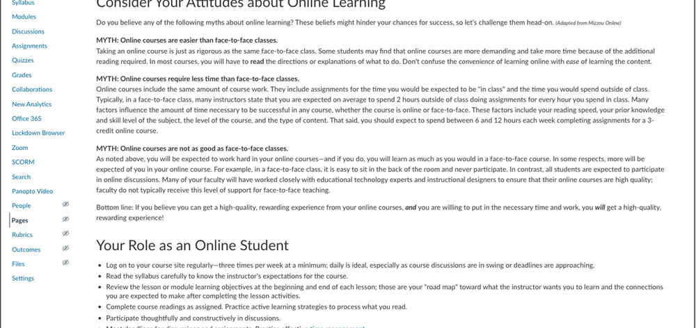 How to Succeed in your online course template