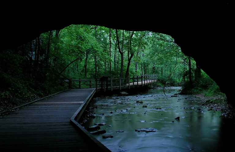 View from a cave opening onto a serene wooden boardwalk next to a river in a lush, green forest.