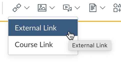 Choosing Link and then External Link from the Rich Content Editor.