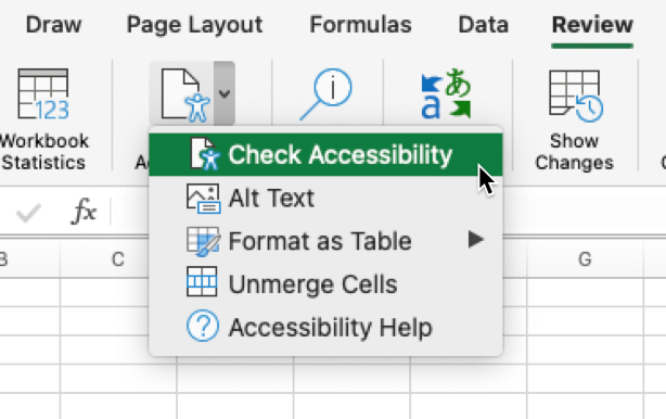 Review and Check Accessibility menu in Excel.