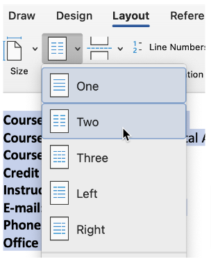 Applying two columns to selected content in Word