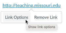 Link Options for a URL in the Rich Content Editor