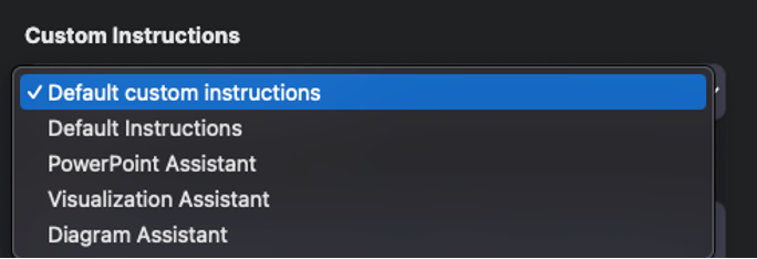 Figure 3: Custom Instructions options.