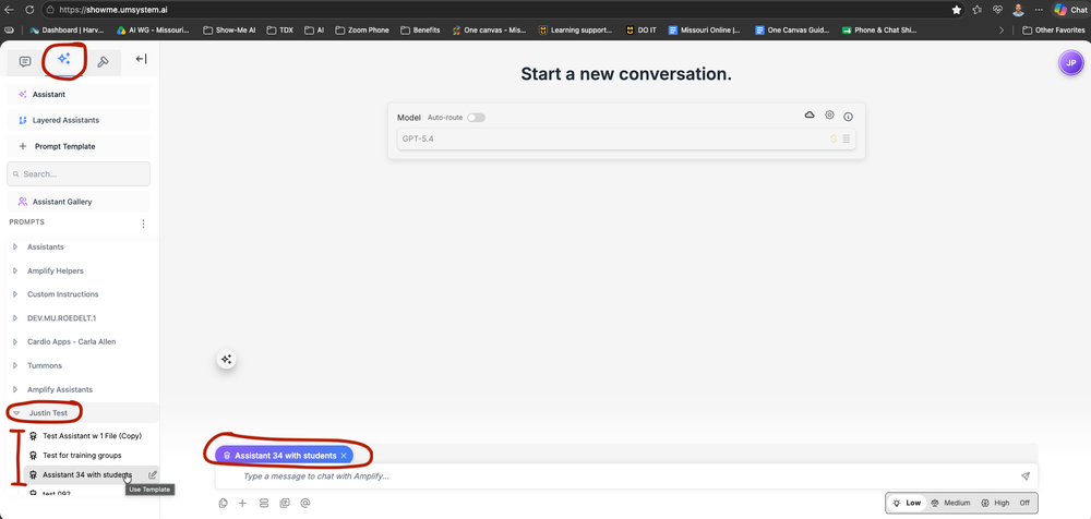 Figure 1: View of Show-Me AI with the “Assistants” tab selected.