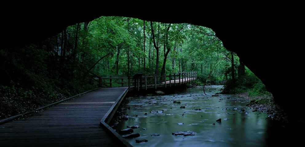 View from a cave opening onto a serene wooden boardwalk next to a river in a lush, green forest.
